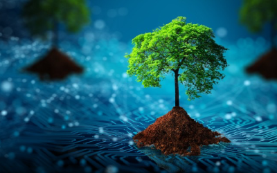The Impact of Computer Hardware on Sustainable Development
